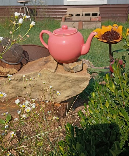 Pottery barn teapot pink rose - barn,