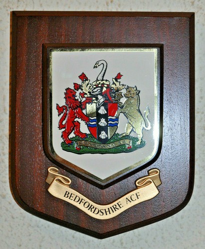 Bedfordshire army cadet force - bedfordshire,