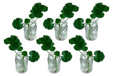 Large Glass Flower Jars x6 Vases Centrepiece Round Clear Decorative Containers