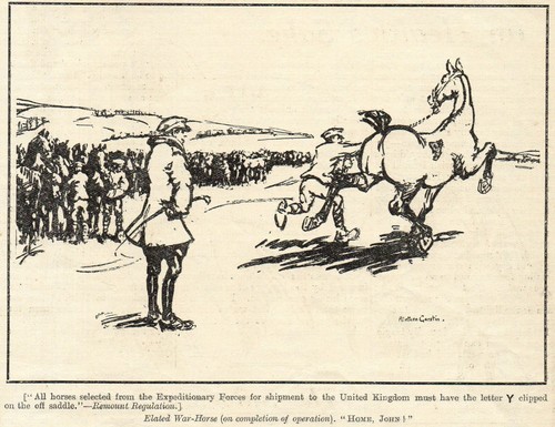 Elated war horse 1919 - 1919, alethea