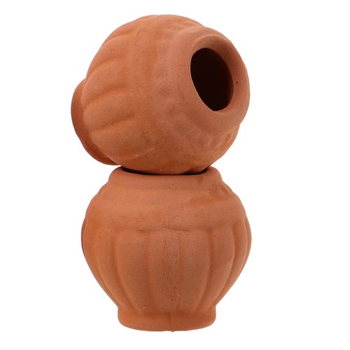 Mini red clay - mini, succulent