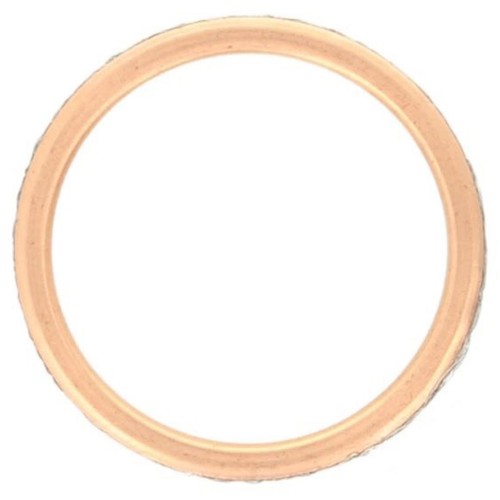 Manifold gasket for - manifold,