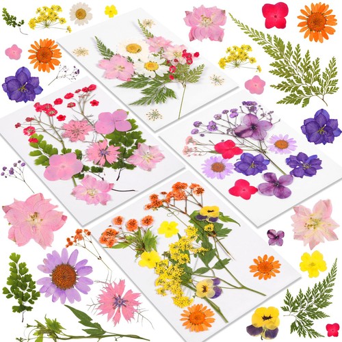 Amfun pcs dried pressed - amfun,
