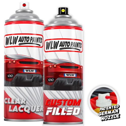 Aerosol paint for skoda - paint,