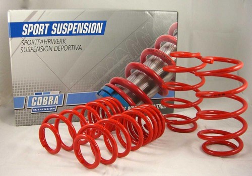 Cobrasport lowering springs - cobrasport,