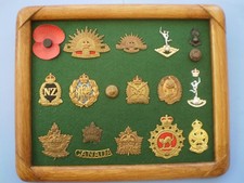 A Small Framed Collection of