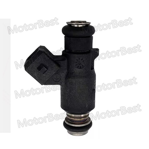 Fuel injector for - fuel,