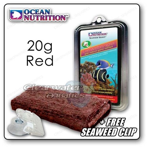 Ocean nutrition dried seaweed - ocean,