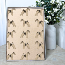 Wire haired fox terrier dog