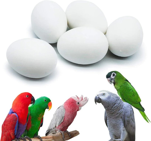 Pcs hatching eggs for - 5,