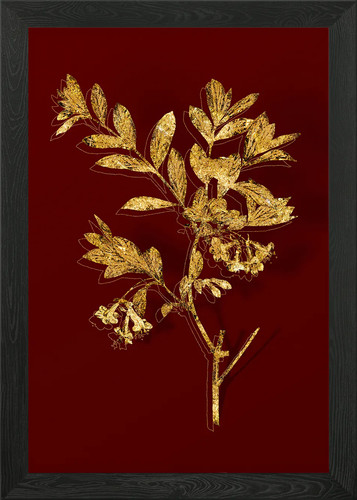 Gold botanical red - red, framed