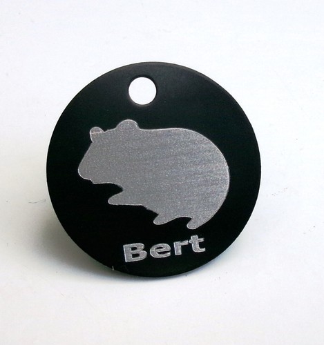 Personalised hamster name - personalised,