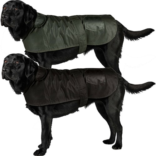 New british wax dog coats - dog,