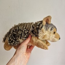 Aurora miyoni wolf lying - miyoni,