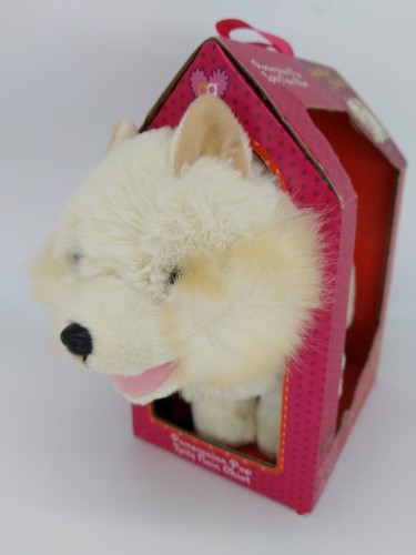 Our generation pomeranian pup - generation,