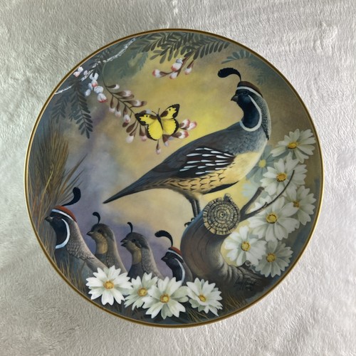 Maytime gambel quail - maytime,