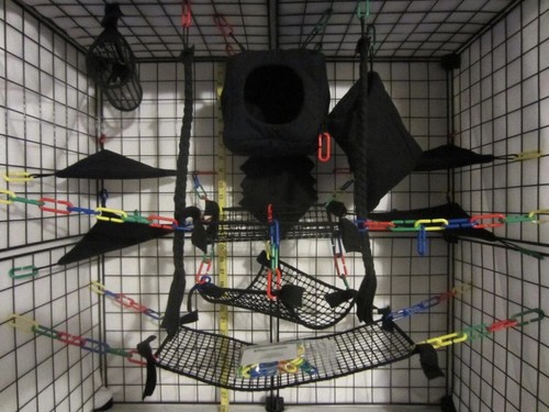 Cube black mesh sugar - pc,