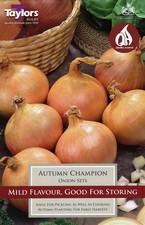 Onion Set Autumn Champion – Premium Autumn Planting Onion Sets - 250 grams