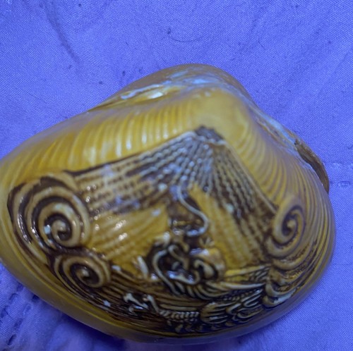 Vintage clam diorama - 3,