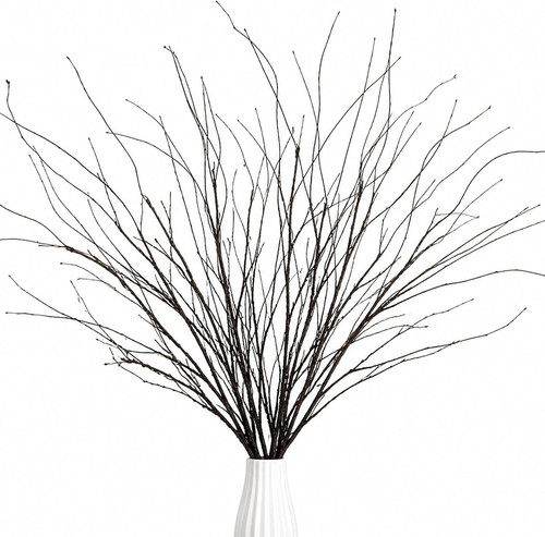 Rainflow curly willow branches - curly,