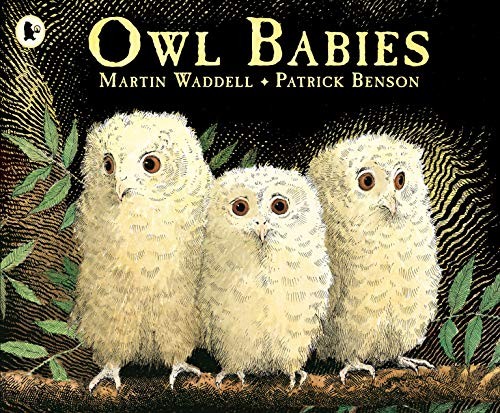 Owl babies waddell martin - by,