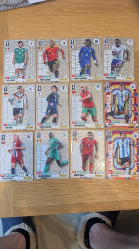 Panini adrenalyn world cup - panini,
