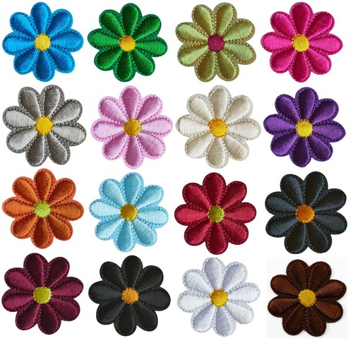 Beautiful daisy flower - daisy,