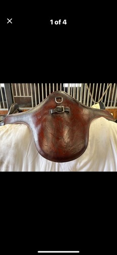 Amerigo stud girth brown - amerigo,