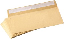 [Pack of 100] DL Envelopes