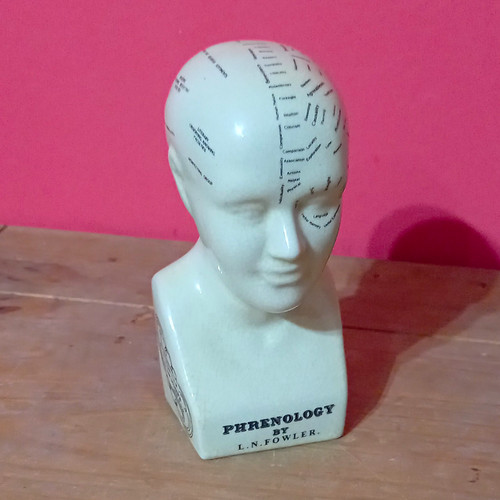 Fowler phrenology ceramic - fowler,