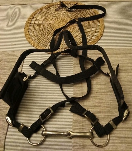 Horse driving bridle black - horse,