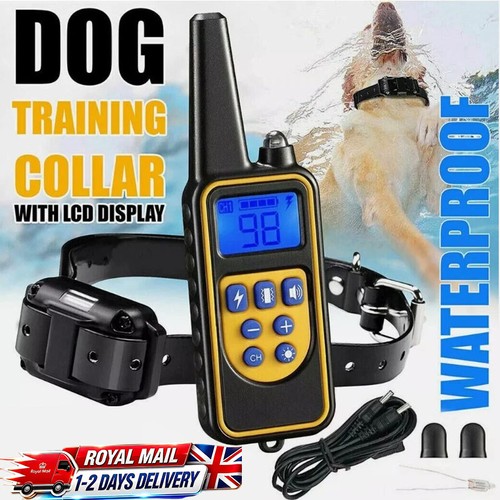 800m electric pet - dog, training