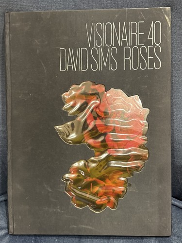 Visionaire david sims - visionaire,