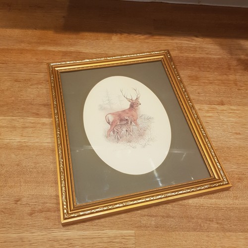 Vintage deer stag fawn print - vintage,