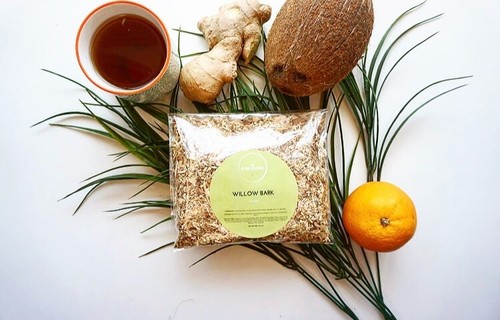 Willow bark tea - willow, wierzba
