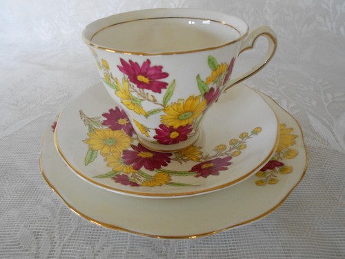 Vintage salisbury aster - "aster", fine