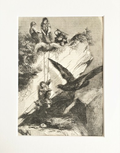 Eagle nest robbers - &,