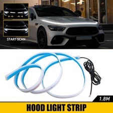 White Dynamic Scan Start Up