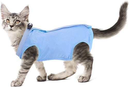 Cobee professional cat suit - professional,