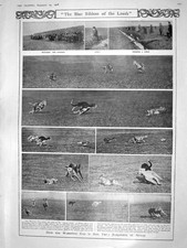 Original Old Antique Print