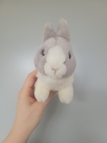 Wilberry dutch bunny - bunny, rabbit