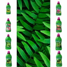 PLANT FOOD FERTILISER GREEN