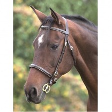 Shires Equestrian Fancy