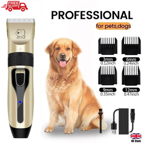 Professional pet dog - dog, hair