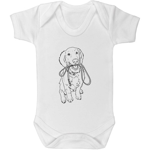 Golden retriever lead baby - retriever, &