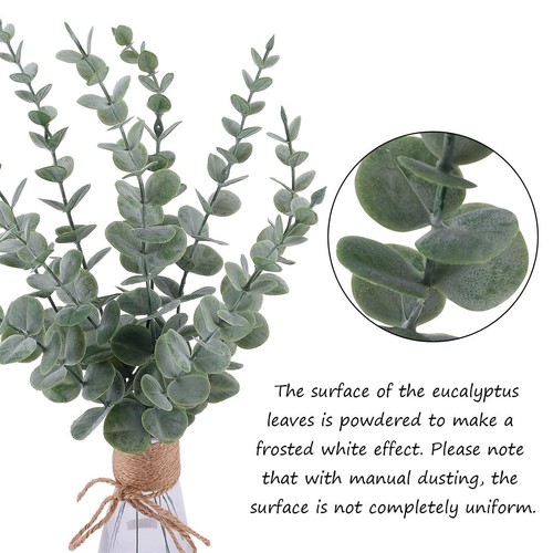 10pcs eucalyptus stems - 10pcs,