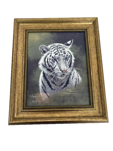 White tiger cub - cub, stephen