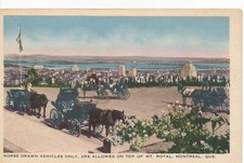 PC09824 Horse Drawn Vehicles only are Allowed on top of Mt. Royal. Montreal. Que