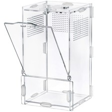 Jumping Spider Enclosure 4x4x8