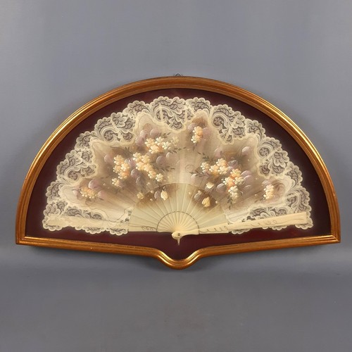 Display case with fan - case, flower